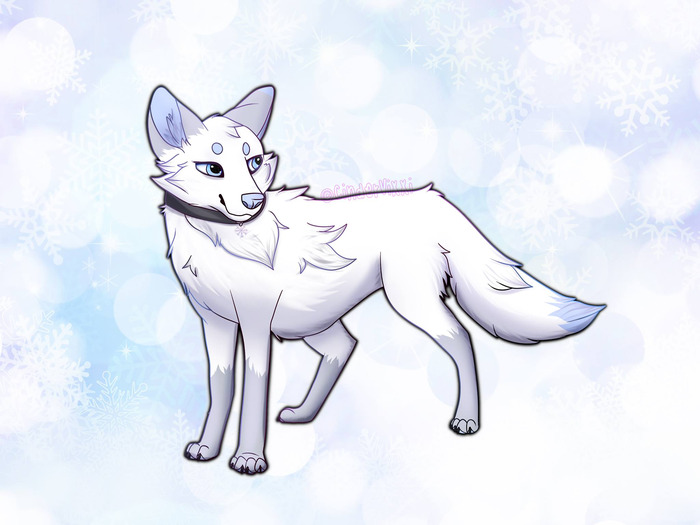 White fox standing against a blue background