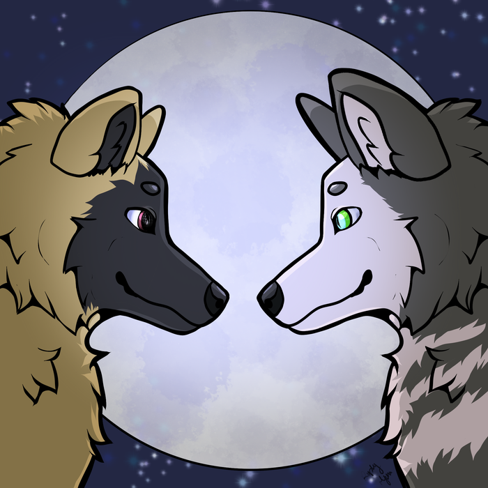 Two wolves gaze at each other while a large full moon fills the space between them
