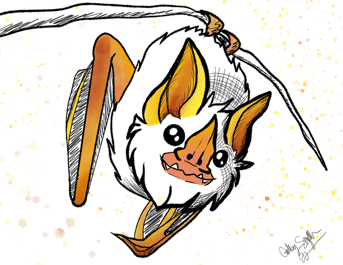 Loose ink-and-color sketch of an orange and white Honduran bat character hanging upside down from a branch