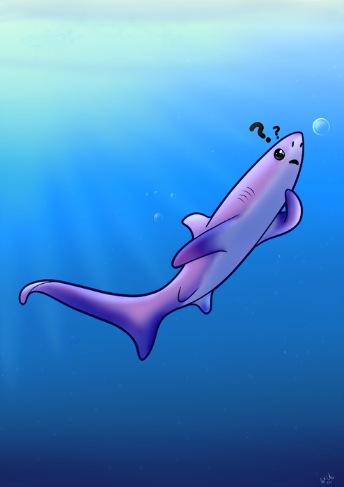 Small purple thresher shark swimming through blue water with bubbles and question marks over its head