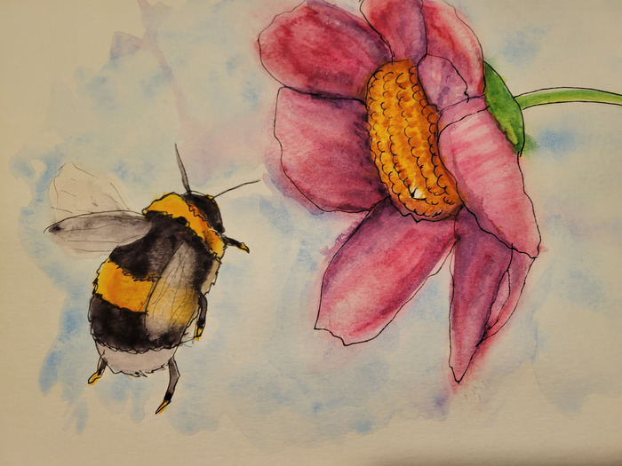 Watercolor bumblebee approaching a large translucent pink flower against a pale blue wash