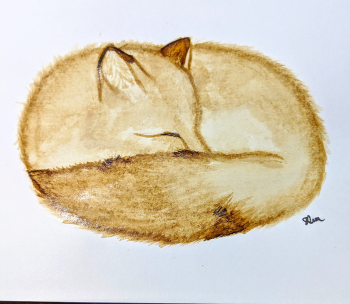 Curled sleeping fox painted entirely in warm brown coffee tones on white paper