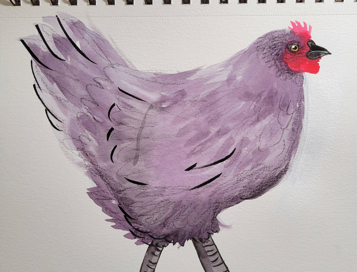 Side-view watercolor portrait of a fluffy lavender-gray Orpington chicken with a red comb